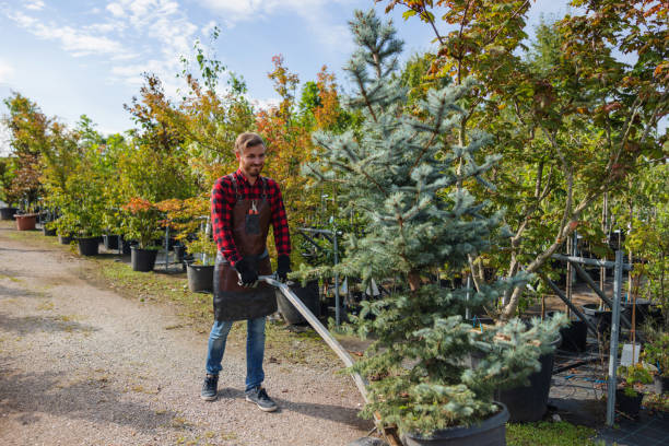 Best Firewood Processing and Delivery  in Platte, SD